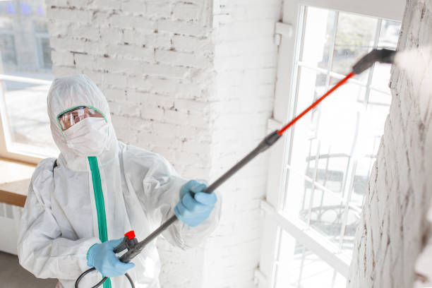 Professional Mold Removal in Pottsgrove, PA